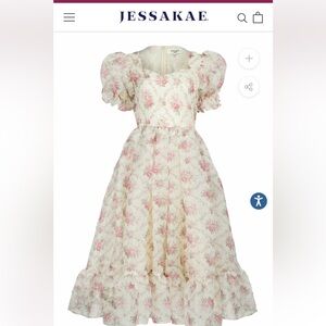 Jessakae Amelia dress in 1x